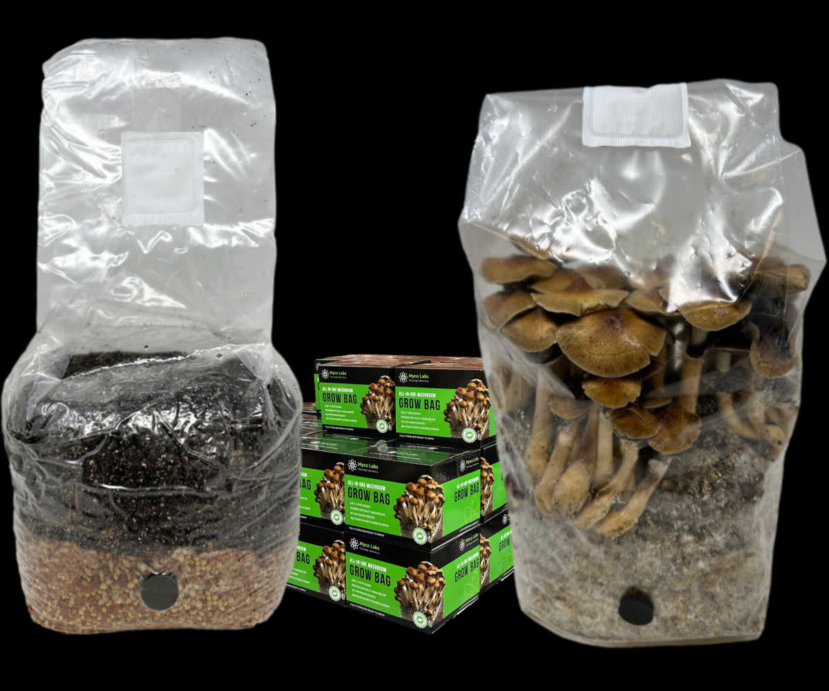 Mushroom Grow Bags Mushroom Spawn Bags Mushroom Bags Kit 6 - Temu
