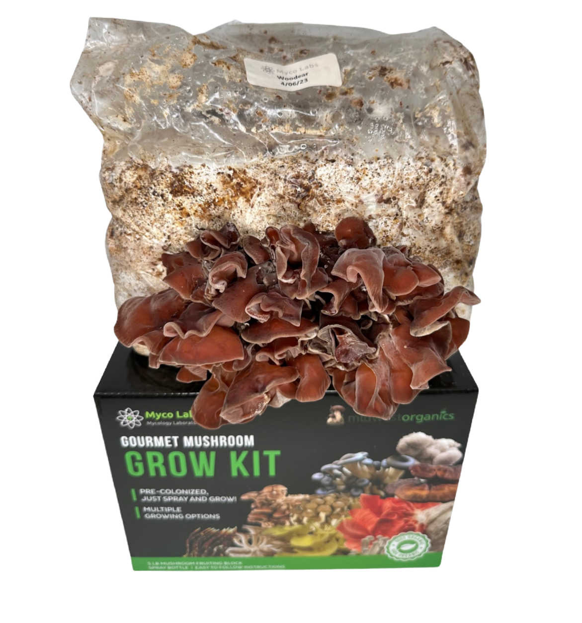 Wood Ear Mushroom Grow Kit (5lbs)